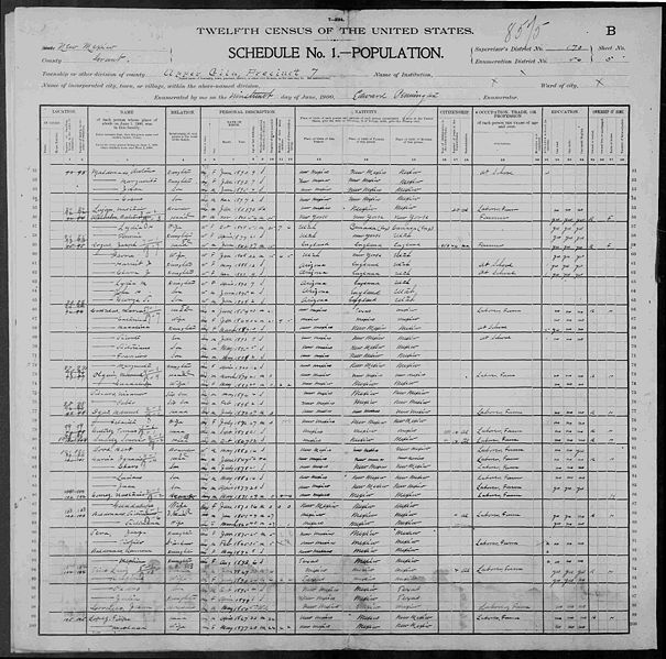 File:1900 New Mexico Grant Upper Gila Census.jpg